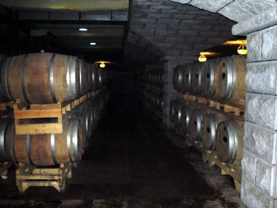 張?jiān)H葡萄酒城卡斯特酒莊好玩嗎,張?jiān)H葡萄酒城卡斯特酒莊景點(diǎn)怎么樣_點(diǎn)評(píng)_評(píng)價(jià)【攜程攻略】