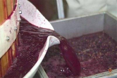 朋友圈網(wǎng)紅--自釀紅酒,竟出自臟亂差的地下室