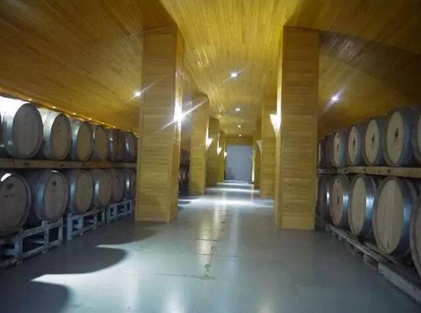 源于情懷,看姜莊主如何在新疆沙漠打造中國最大的&ldquo;休閑農(nóng)莊&rdquo;!