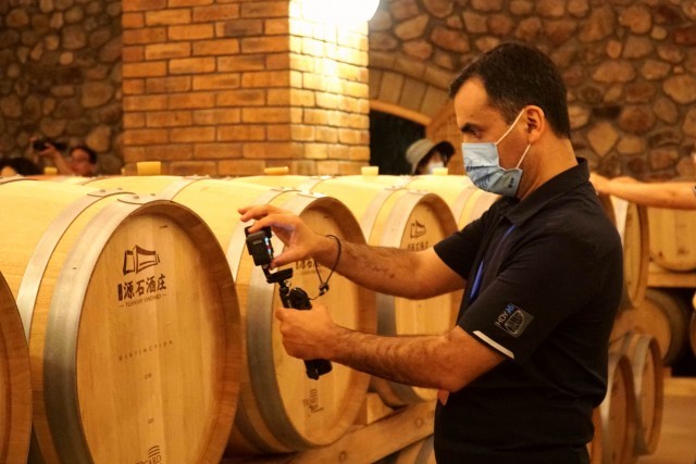 中外媒體走進(jìn)寧夏,在這里看到葡萄酒的&ldquo;前世今生&rdquo;