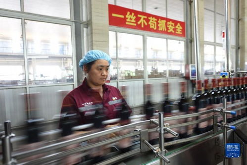 小葡萄撬動大產業