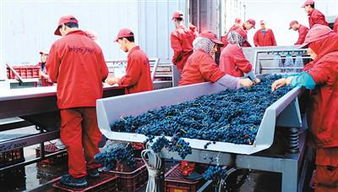 11月5日首屆國際進博會開幕 中國準(zhǔn)備 買買買